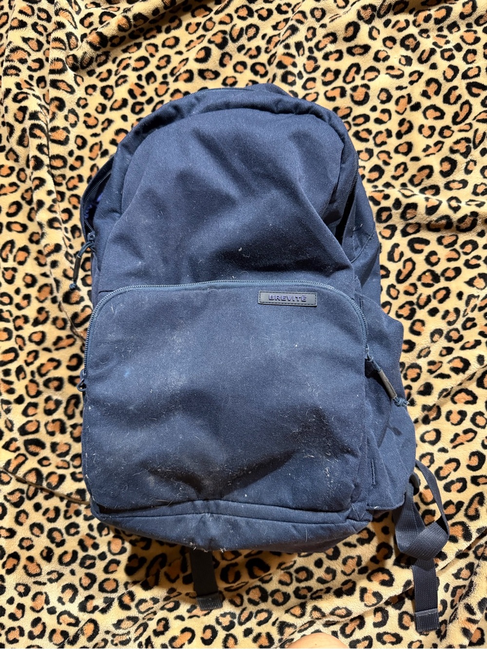 Navy Canvas Backpack BREVITE